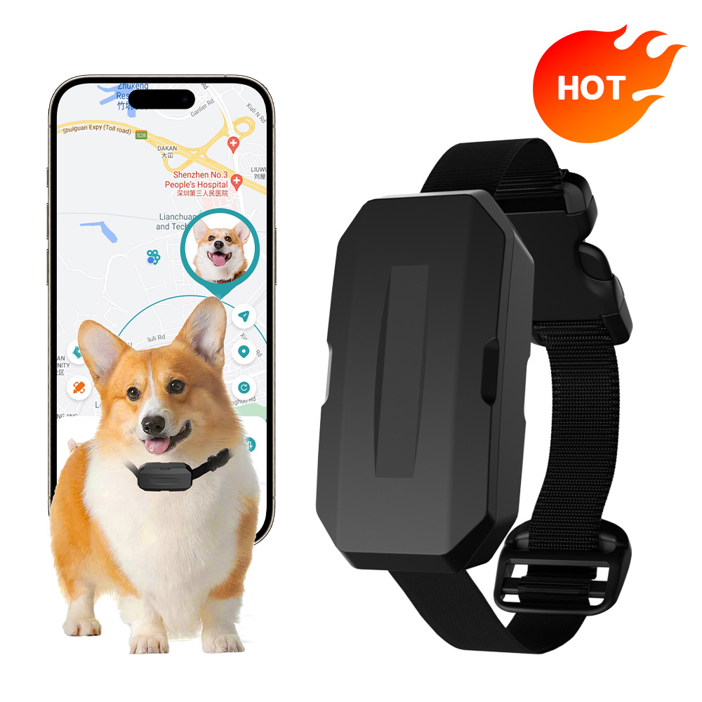 Pet Tracking Device with Geofence for Real-time Monitoring