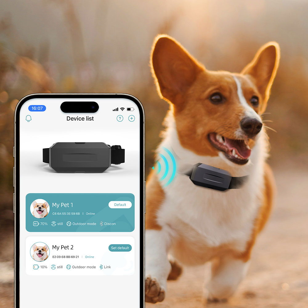 Pet Tracking Device with Geofence for Real-time Monitoring