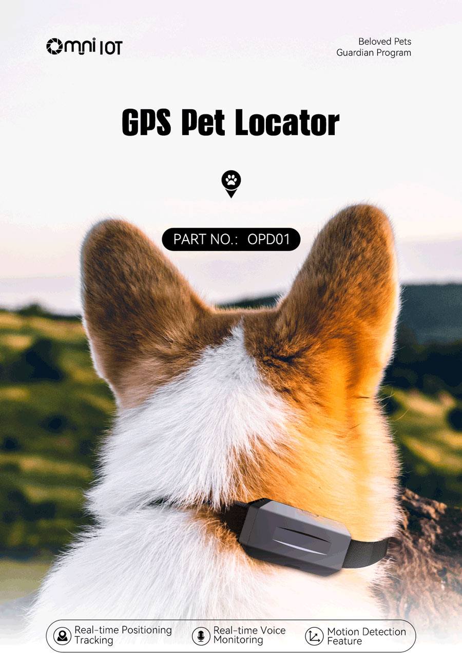 gps dog collar fence