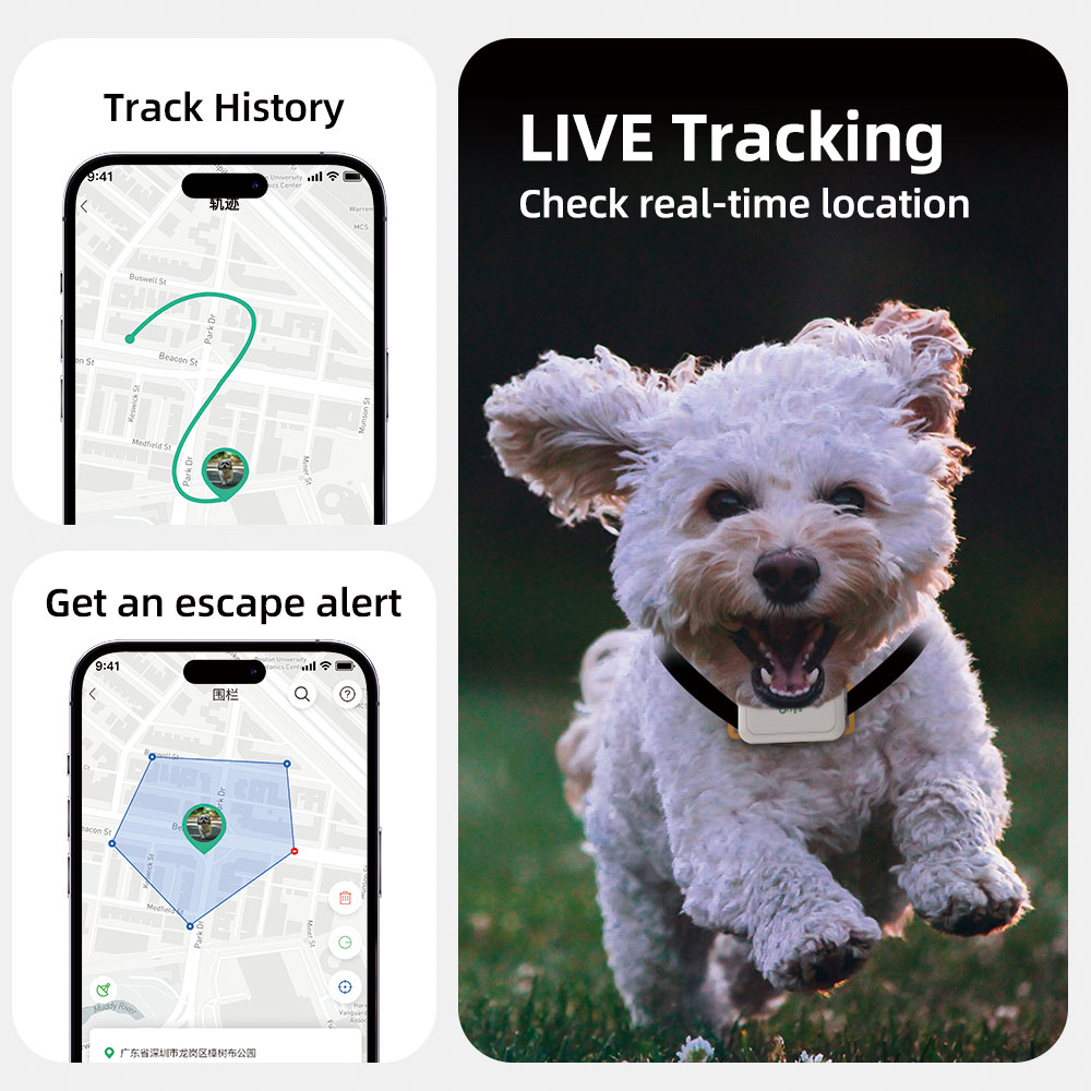 OPD05 Dog Tracking Device