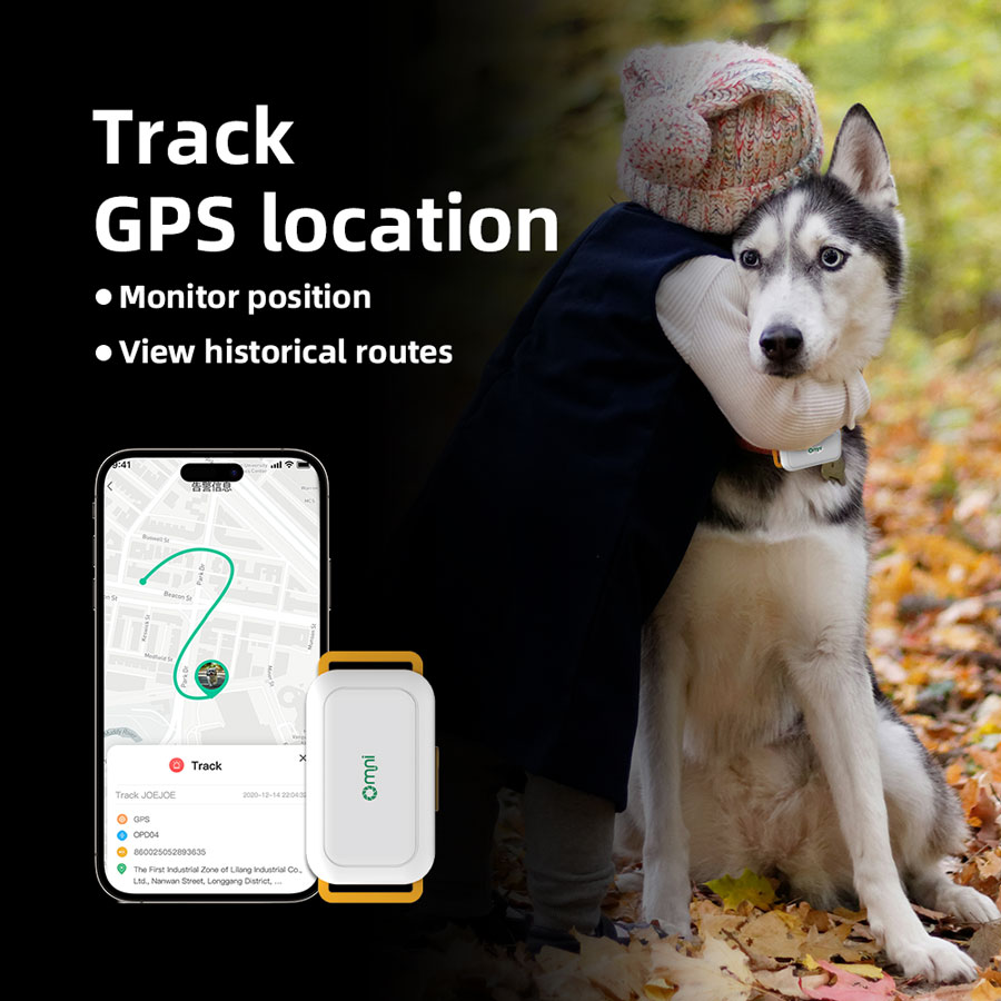 dog tracker