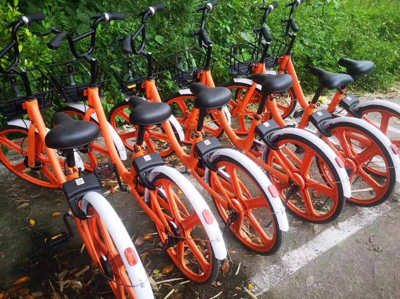 What is Underlying Logic of E-Bike Rental with IoT Trackers?