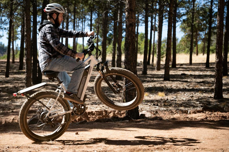 electric bike lock system